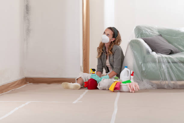 Reliable Mold Testing contractor in Mount Rainier, MD by WQB Mold Removal